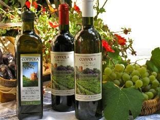 Casa Bianca Comfortable holiday residence Vacation rental in Chiavari