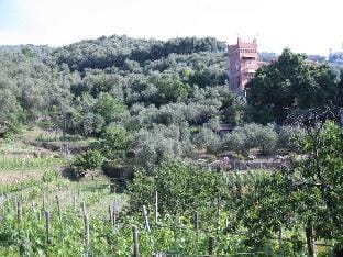 Casa Bianca Comfortable holiday residence Vacation rental in Chiavari