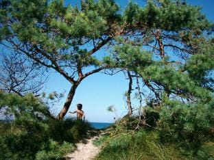 Villa Bock 7 Comfortable holiday residence Vacation rental in Glowe