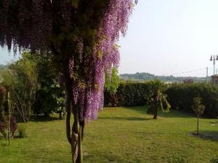 Shimmering Serenity in Pastrengo Vacation rental in Lake Garda