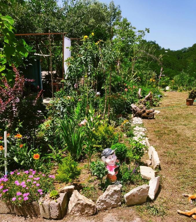 Grandmother Naziko Bed and Breakfast in Georgia