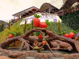 Nova Highlands Resort and Residence (B2) Apartment in Brinchang