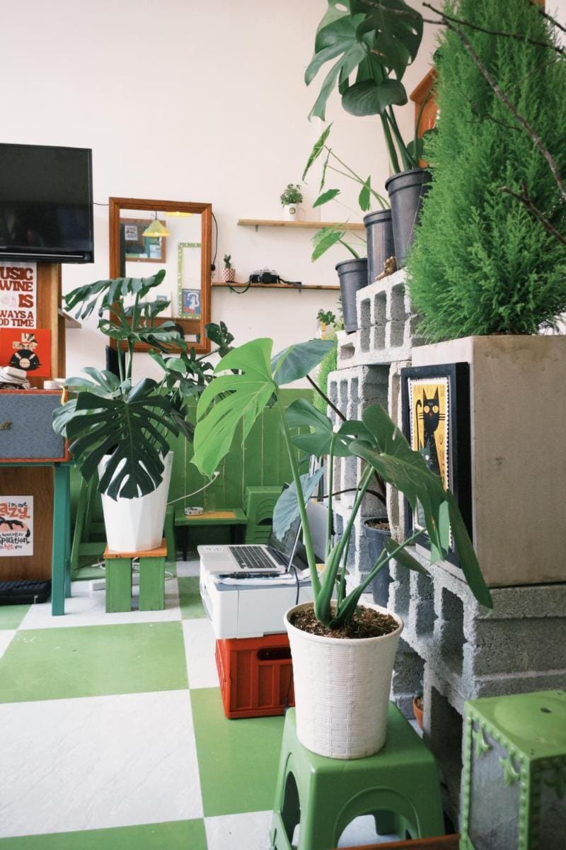 Vanila Homestay Hotel in Dalat