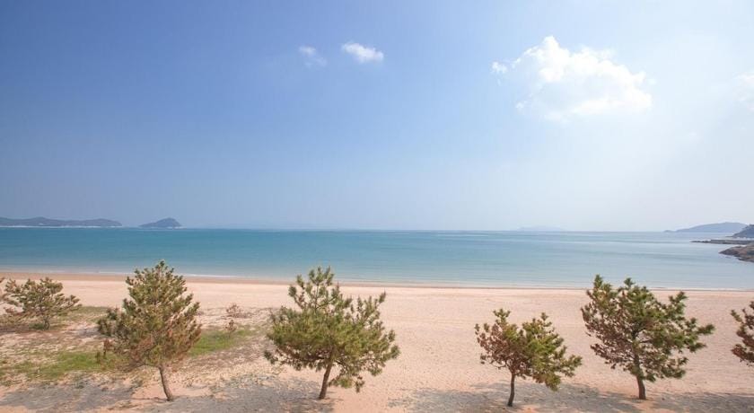 Ireland Bed and Breakfast in South Korea