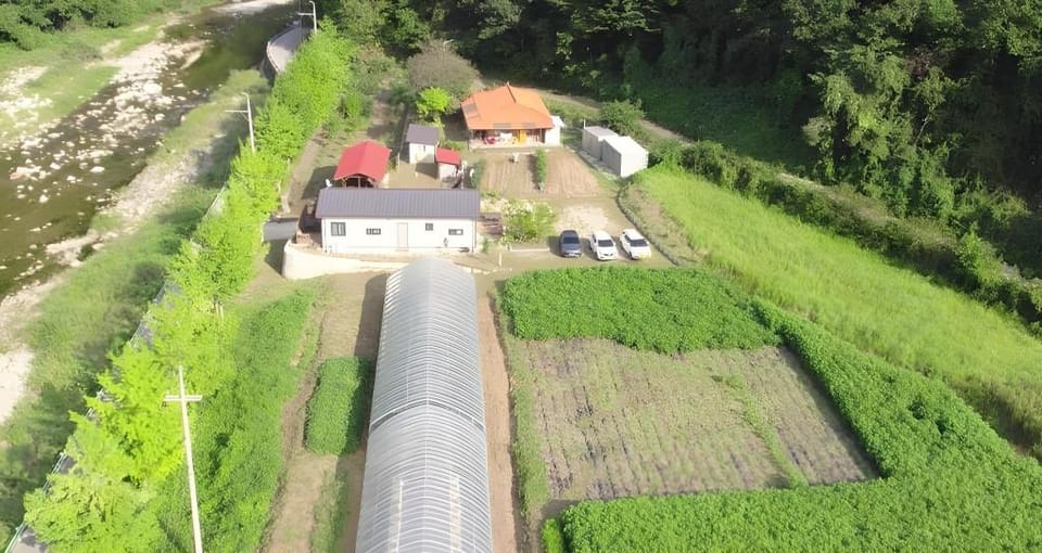Uljin Wangpicheon Healing Farm Bed and Breakfast in South Korea
