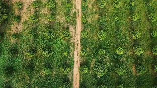 Bliss Farm Stays - Sha Farms & Villa Vacation rental in Telangana