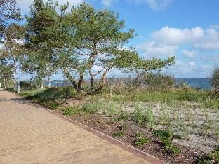 Seehund Comfortable holiday residence Vacation rental in Mecklenburg-Vorpommern, Germany