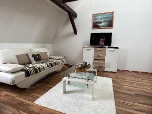 Sunny Loft with Mountain Views Apartment in Wernigerode