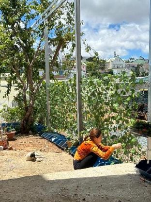 Villa Cỏ Bốn Lá Homestay Villa in Dalat