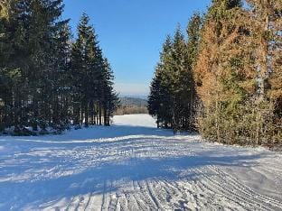 Terraced house Amann Comfortable holiday residence Vacation rental in Thuringia, Germany