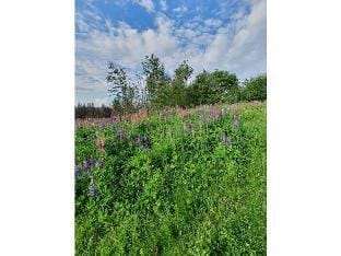 Terraced house Amann Comfortable holiday residence Vacation rental in Thuringia, Germany