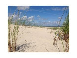 The Blue House Modern retreat Vacation rental in Friesland