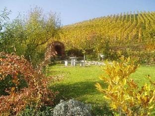 Ferienhof Mayer - Apartment 2 Vacation rental in Ortenau