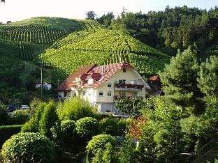 Ferienhof Mayer - Apartment 2 Vacation rental in Ortenau