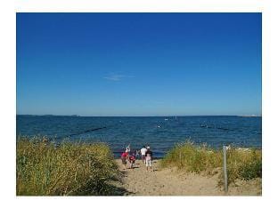 Seagull Comfortable holiday residence Vacation rental in Glowe