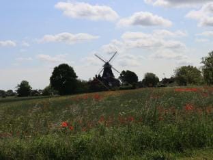 de Boer Comfortable holiday residence Vacation rental in Wittmund