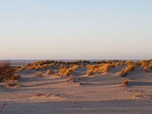 Kleiner Seehund Comfortable holiday residence Vacation rental in Borkum