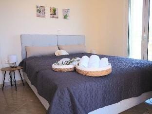 Lagoudis Comfortable holiday residence Vacation rental in Messenia