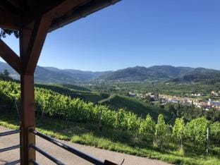 Azuria Black Forest Loft Vacation rental in Ortenau