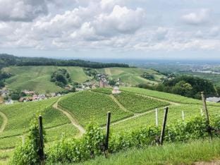 Azuria Black Forest Loft Vacation rental in Ortenau