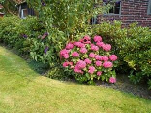 Watthuus Kiebitzhorn attic Vacation rental in Wangerland