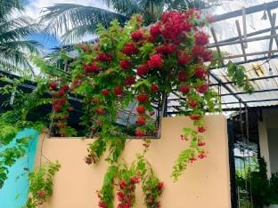 ba ho green field homestay  Vacation rental in Khanh Hoa Province