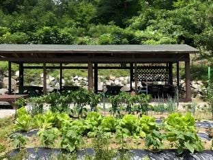 Yangyang Beopsuchi Yeoulmok Pension Bed and Breakfast in South Korea