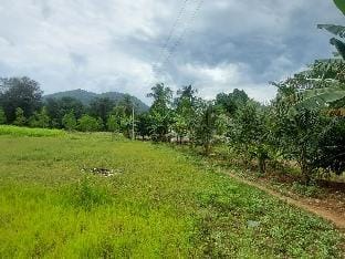 GO2 Village Homestay Vacation rental in Tamil Nadu
