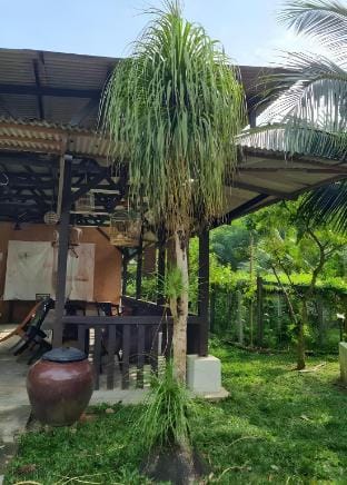 Rock Forest Chalet Chalet in Selangor, Malaysia