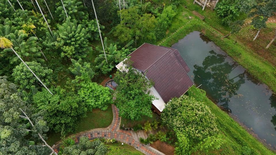 Casta Wild Resort Apartment in Kerala