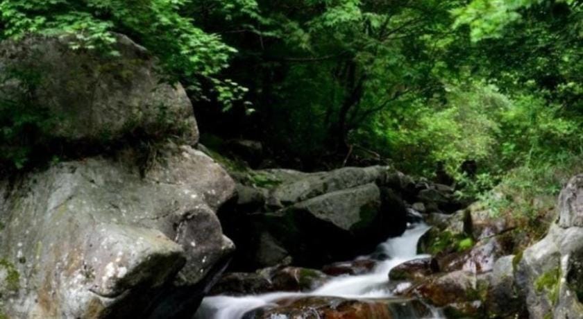 Seonbichon Lake Pension Bed and Breakfast in South Korea