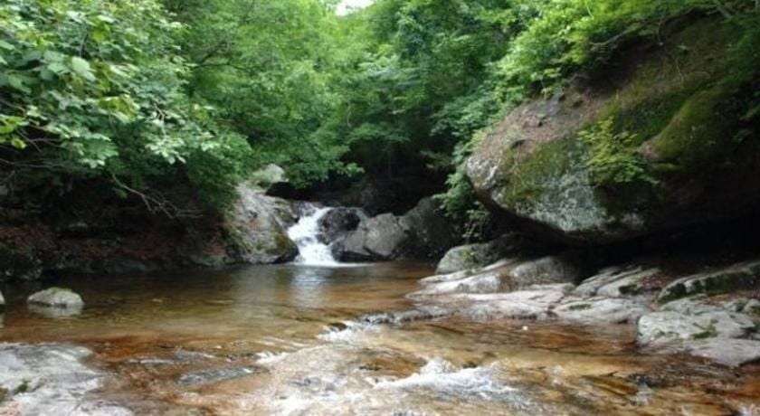 Seonbichon Lake Pension Bed and Breakfast in South Korea