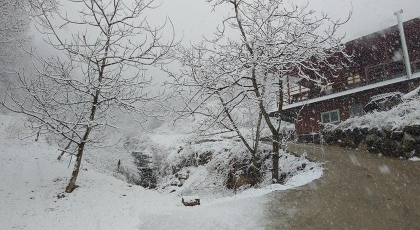 Cheoli and Miae Bed and Breakfast in South Korea