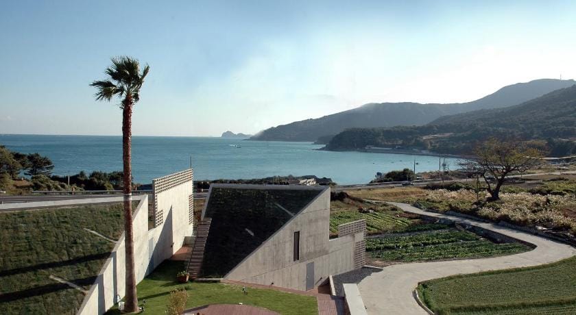 Tropical Dream Spa Resort Bed and Breakfast in South Korea