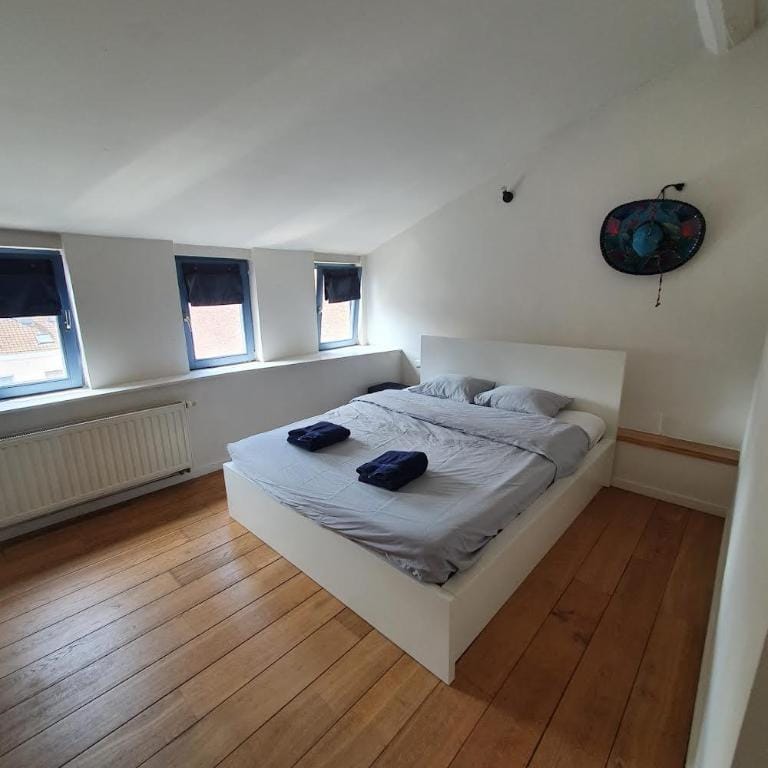 Comf. 2 bedroom Penthouse in city center (6 beds) Apartment in Brussels