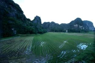 Tam Coc Mountain Flower Homestay Vacation rental in Laos
