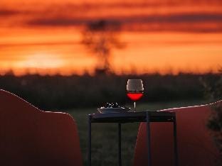 Wellness Lodge in Dutch Meadows with Hot Tub Vacation rental in Drenthe (province)