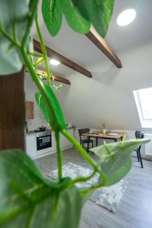 Serviceroom24 - Apartment 5 in Herten WLAN - Küche Apartment in Gelsenkirchen