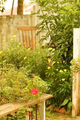 Xanh House HHT Vacation rental in Dalat