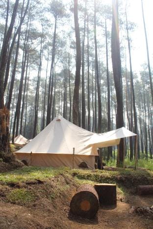 Lembah Pinus Cikole Luxury tent in Lembang