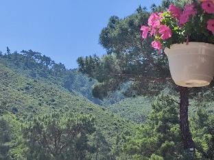 Lalin Suit Apart  Vacation rental in Antalya Province