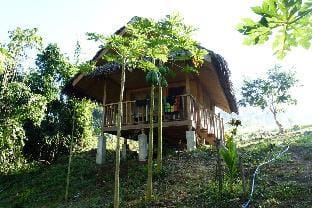 Sweet native Guesthouse in Paradise Garden Vacation rental in Puerto Princesa