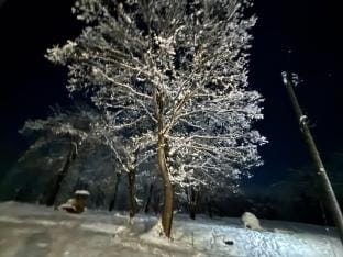 green bell3【最大12人】大自然に囲まれて川で涼めるサウナ付まるまる一軒家3号棟 Vacation rental in Nagano Prefecture