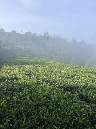 The hidden peaks mud house cottages  Villa in Kerala