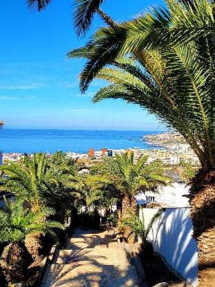Ferienhaus El Musgo mit Meerblick und Pool Vacation rental in Costa Adeje