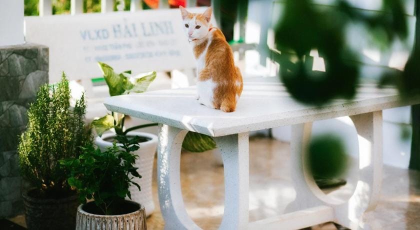 Homestay Hồng Phúc Apartment in Lâm Đồng