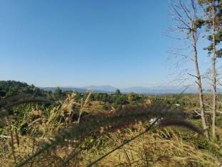 MJ Homestay&Camping  Vacation rental in Thailand