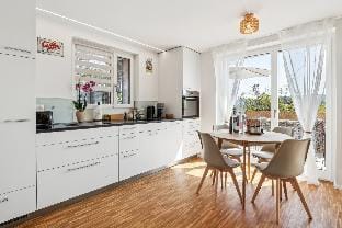 Business I Family Apartment I Aare view, terrace Vacation rental in Aargau, Switzerland