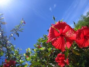 Enjoy Clear Ocean Water in Our Private Villa KH177 Villa in Okinawa Prefecture
