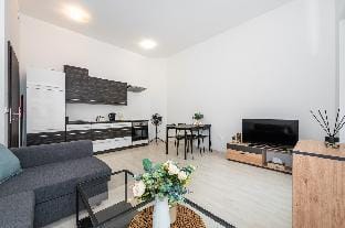 Brno city apartment Apartment in Brno